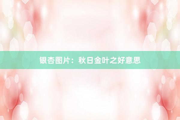 银杏图片：秋日金叶之好意思
