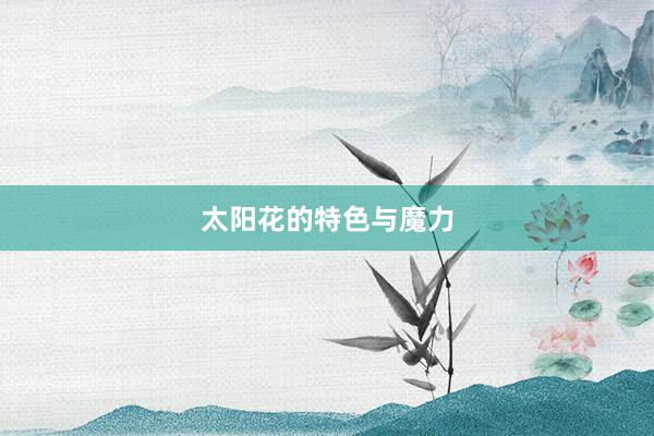 太阳花的特色与魔力