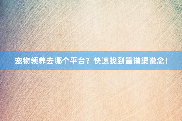 宠物领养去哪个平台？快速找到靠谱渠说念！